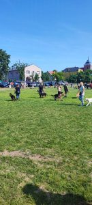 wrzosowa 28.05.23 7